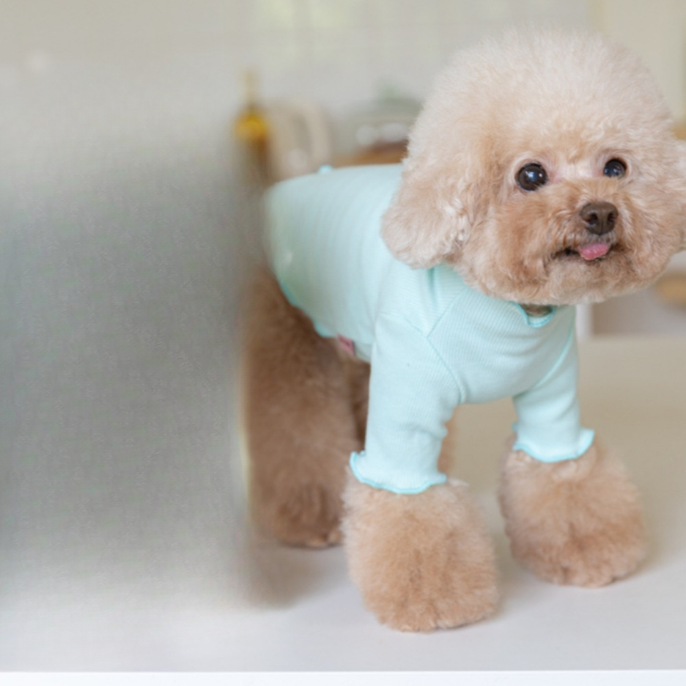 Jesienno-zimowe bluzy z kapturem dla zwierząt z haftowaną koronkową podstawą Pet Candy Colored Haftowane ubrania dla psów Teddy dla małych psów: XL / WHITE