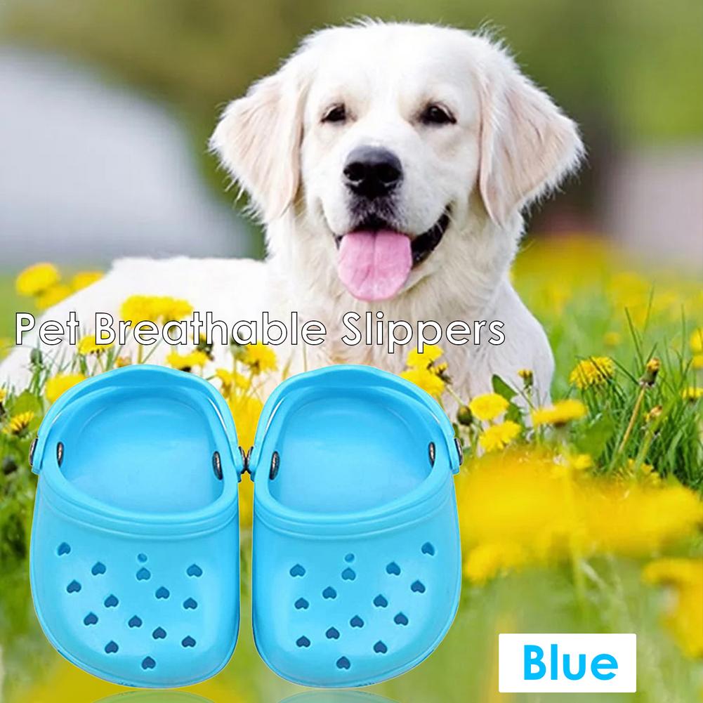 Haustier Schuhe Atmungs Sandalen Für Kleine Hunde Süssigkeit Farbige Löchrigen Schuhe Sommer Hund Schuhe Atmungsaktives Gittergewebe Welpen Für Kleine Haustier