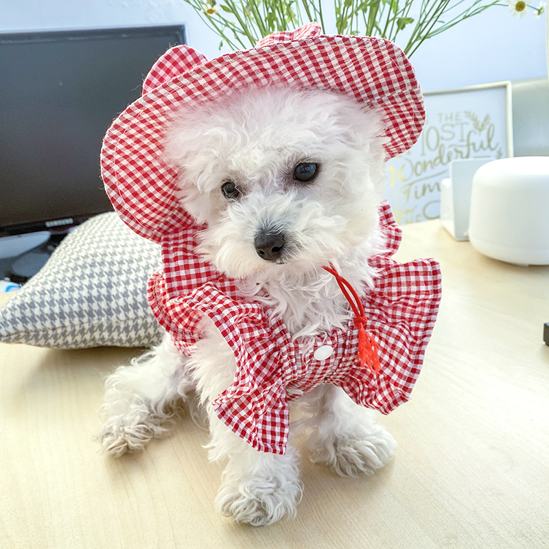 PETCIRCLE Dog Clothes Product Plaid Color Sun Hat For Small Dog Puppy Pet Cat All Season Pet Cute Costume Pet Clothes Cool Hat