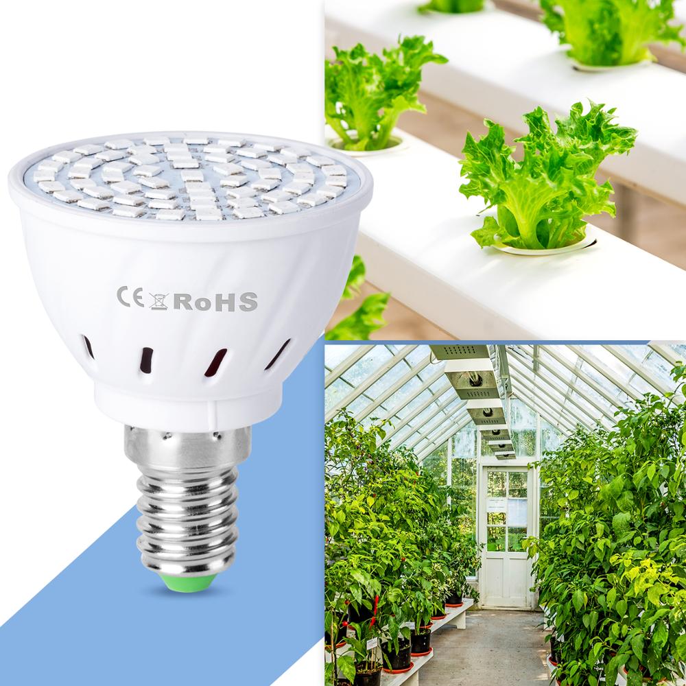 E27 Grow Light Full Spectrum Led B22 Growing Lamp for plants E14 Seeds Flower Led Bulb GU10 Phytolamp Led Aquarium Lighting MR16