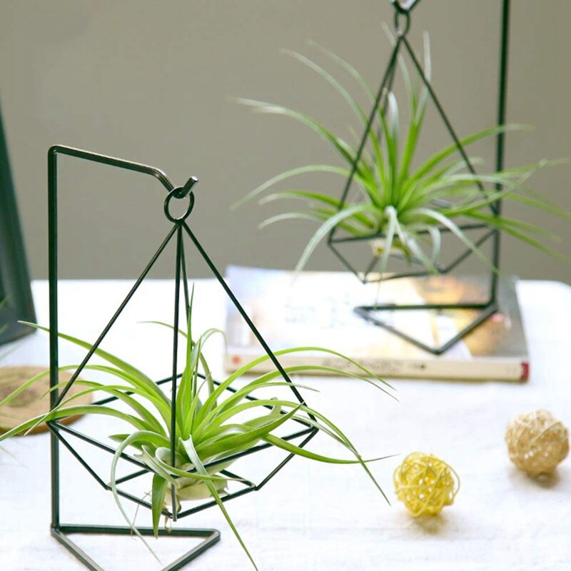 2 Stuks Air Plant Holder, Air Plant Terrarium, Air Plant Stand, moderne Stijl Air Plant Tafel Houder Vier Kant Beugel