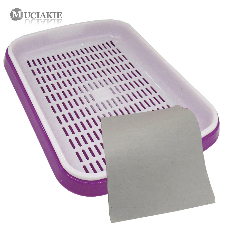 MUCIAKIE 1 LOT Bean Spruit Plaat Zaailingen Lade Dubbele Lagen Planten Gerechten Groeiende Tarwe Zaailingen Kwekerij Potten Thuis Tuin: Purple x AB702C