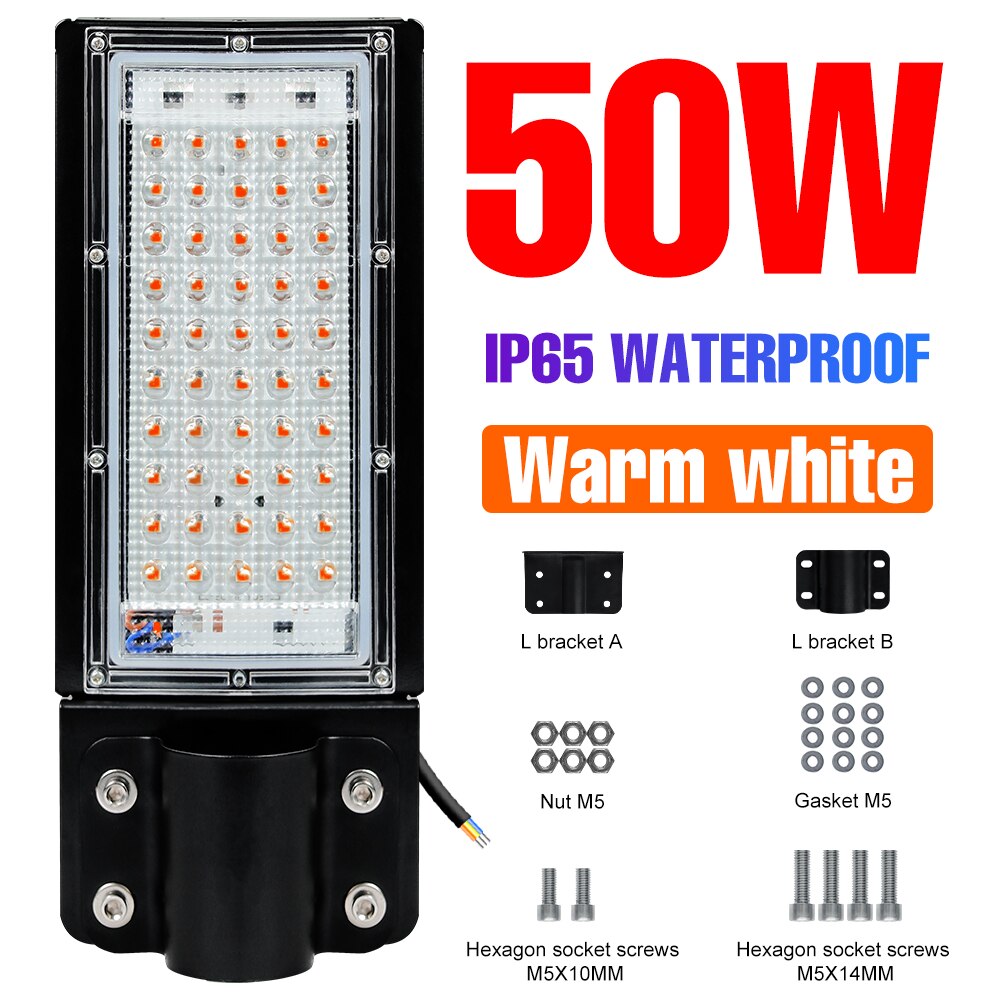 220V Led Licht Binnenplaats Wandlamp IP65 Waterdichte Lampara Led Street Lamp Parken Schijnwerper Billboards Straat Verlichting: Warm-White-50W
