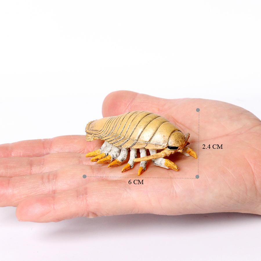 Creatura marina prehistórica de plástico, Animal del océano Cambriano antiguo, Nautilus,Trelobita,Baculitis,Opabinia,Pikaia, figuritas marinas, juguetes: Borgoña