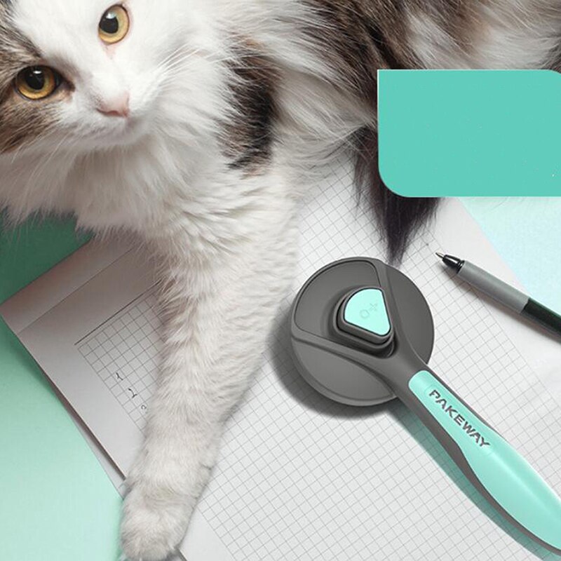 Huisdierenkam, gouden borstel met grote haren, konijnkam, kattenkam, zwevende automatische ontharing, teddybeerkam, vlooienkam