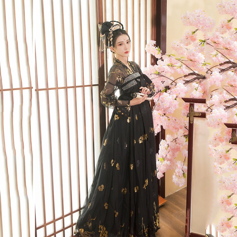 Women Classical Dance Costume Embroidery Hanfu Traditional Fairy Folk Dance Dress Performance Clothes Festival Outfit SL1718