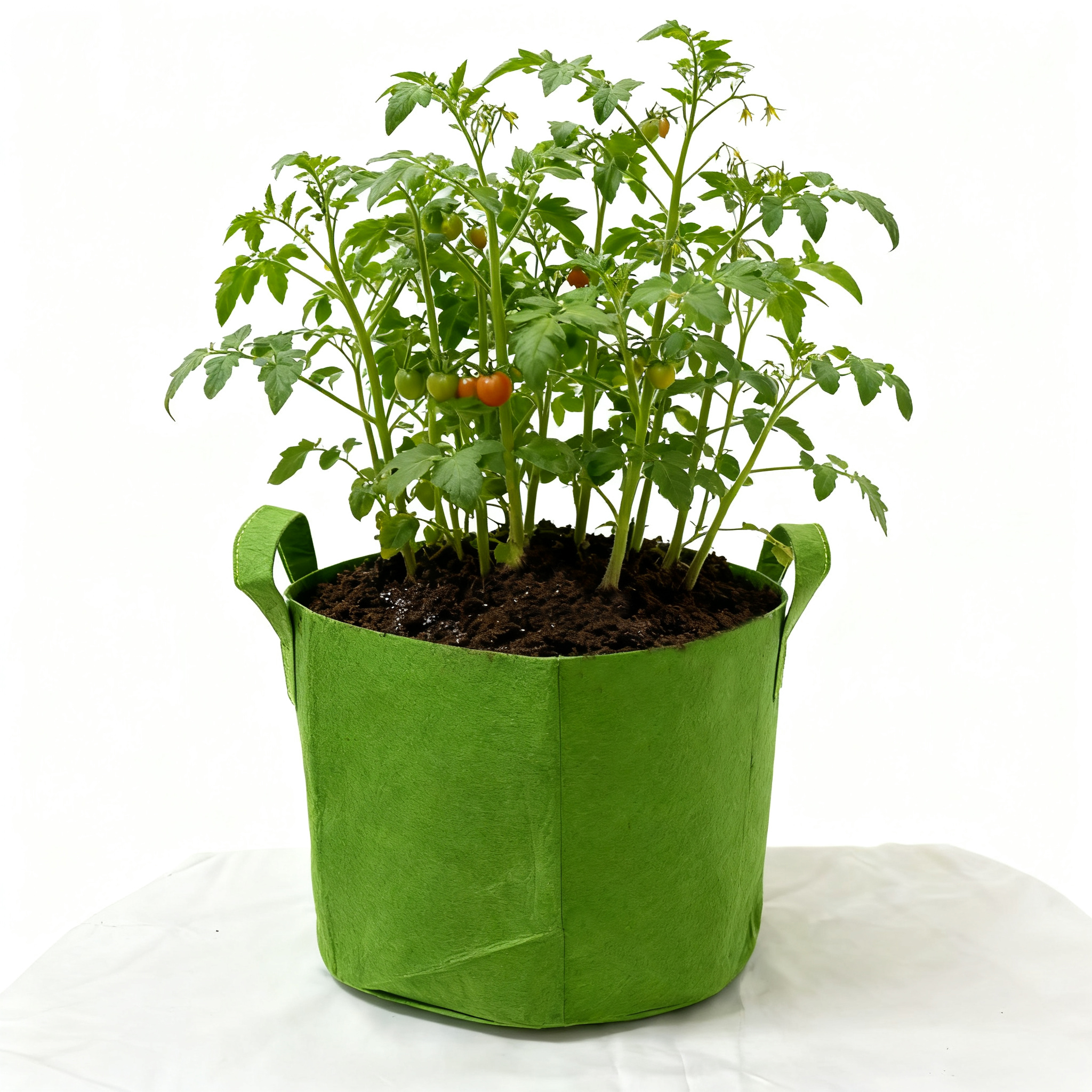 10 Gallon Grow Bags for Vegetable/Flower/Plant, 5 Gallon Aeration Fabric Pots with Handles Cloth Pots for Plants Garden: XL / green