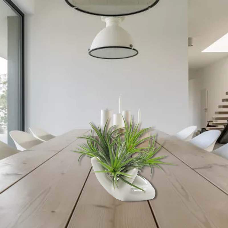 Soporte para clavel de aire, soporte de cerámica en forma de mano, para taza de té, para casa, de Tillandsia, 3 uds.