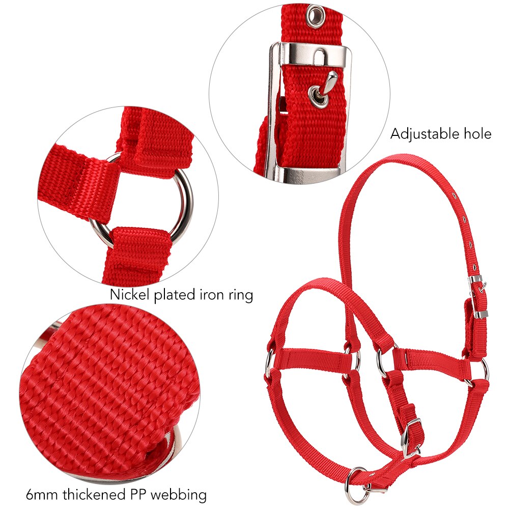 Collar de cabeza de caballo grueso de 6MM, brida ajustable de seguridad, accesorios de equipo de equitación, cuerda de caballo de plomo