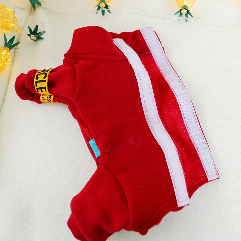 Winter Hund Overall für Hunde Yorkshire Terrier Shih Tzu Overalls Welpen Haustier Kleidung Pyjamas Kleidung combinaison pantalon femme