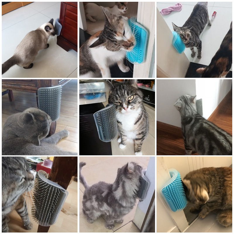 Brosse d'angle de Massage pour chat, produits pour animaux de compagnie, peigne auto-toiletteur, brosse pour le visage avec un peigne chatouillant, outils