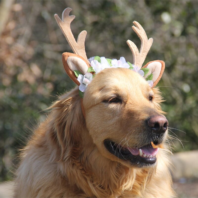 Diademas de Navidad para mascotas, asta de ciervo, banda Floral para la cabeza, accesorios de aseo para perros, gatos y cachorros