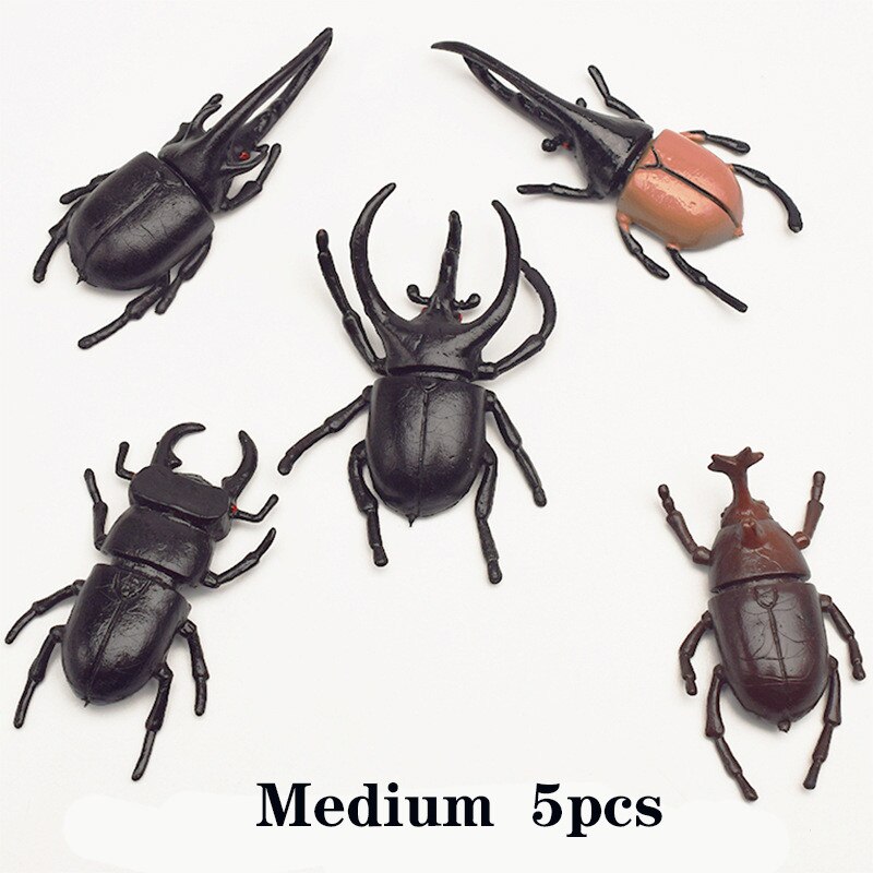 5pcs 5.5/13cm Simulation Beetle Toys Special Lifelike Model Simulation Insect Toy Nursery Teaching Aids Joke Toys Gold Beetle: 5pcs Medium