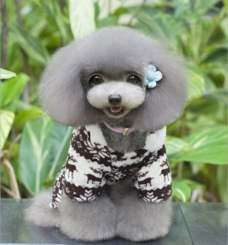 Manteaux de noël pour chiens | Pull pour chiot chat, vêtements chauds, pull-over, tricot, Costume à capuche,
