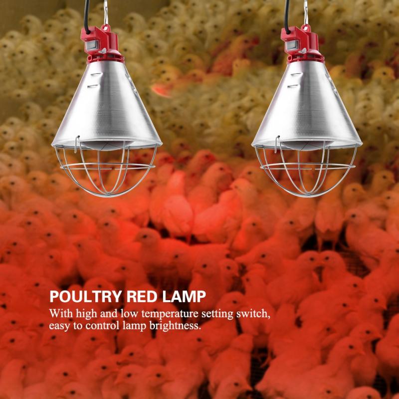 Pantalla de calor rojo infrarroja de 220V con luz de ajuste de alta temperatura para aves de corral, pollitos, reptiles, lámpara para calentador, enchufe de la UE