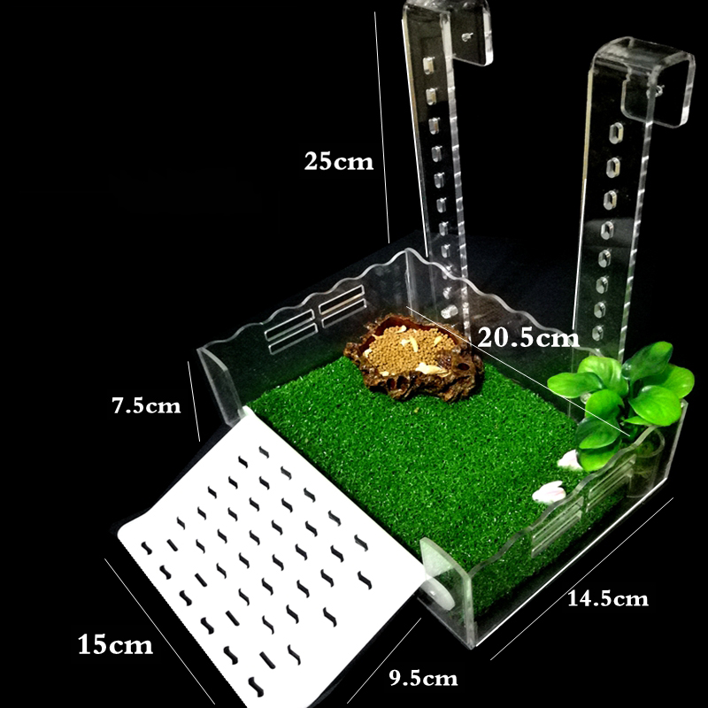 Turtle Basking Platform Height-Adjustable Hanging Amphibian Platform Fish Tank Aquarium Platform Tortoise Resting Terrace