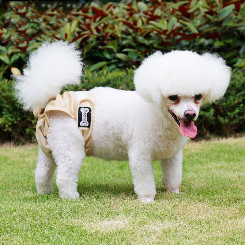 Wasbare luiers voor teefjes, ondergoed voor huisdieren, herbruikbare maandverbanden tegen intimidatie
