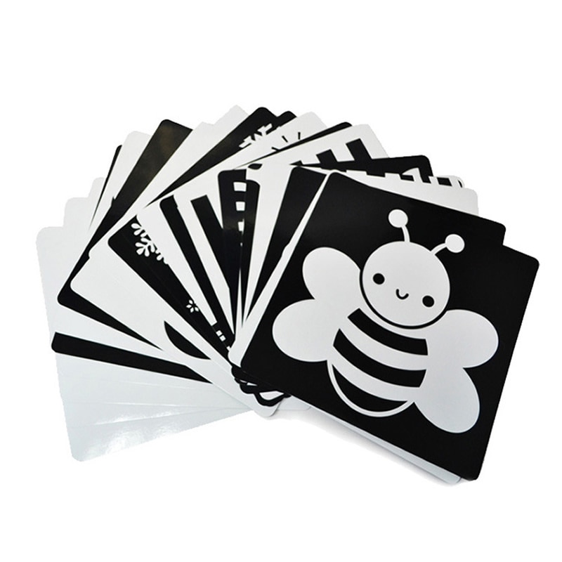 21 x 21 cm sorte og hvide kort til førskolepædagogiske baby visuelle træningskort dyrekort