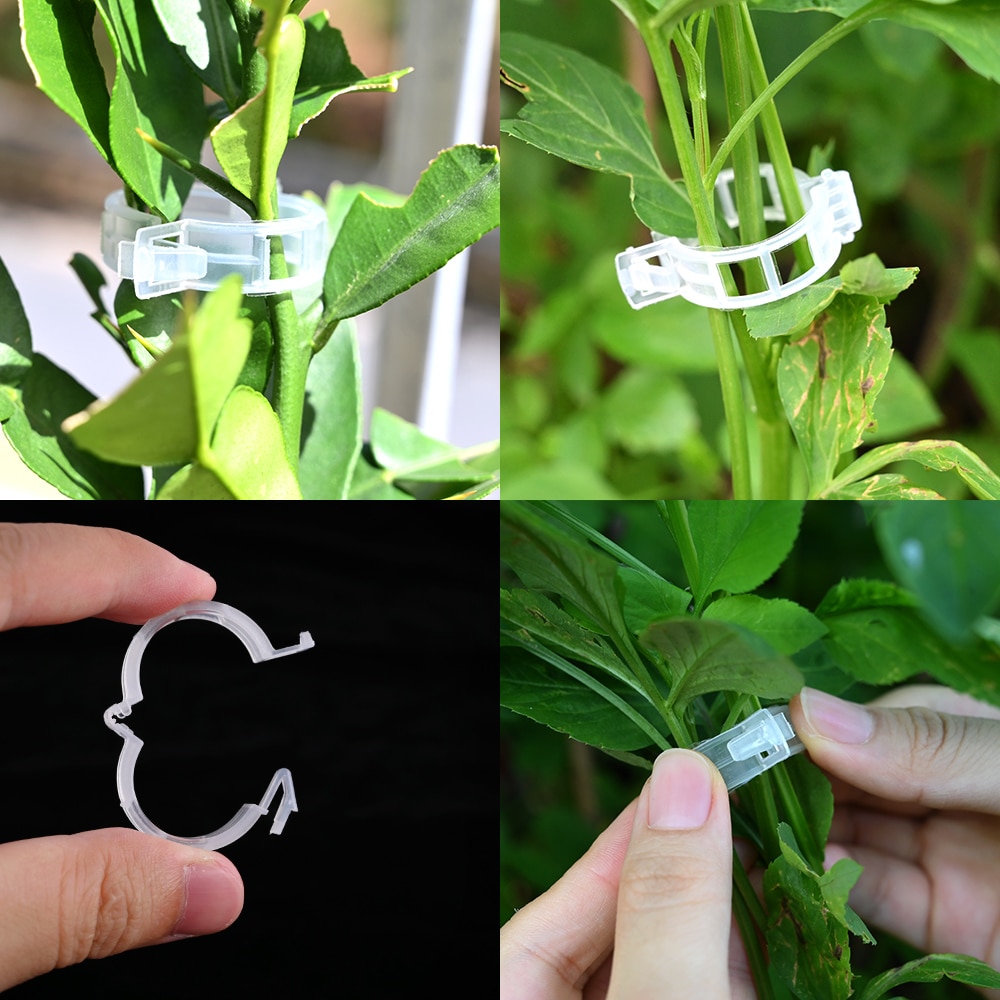 50/100pcs Reusable Plastic Plant Support Clips Plants Hanging Vine Clip Garden Greenhouse Fork Vegetable Tomatoes Clips Supplies