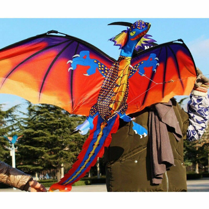 Kinderen buiten enorm grappig 3d draken vlieger vliegen lange staart luchtlijn touw