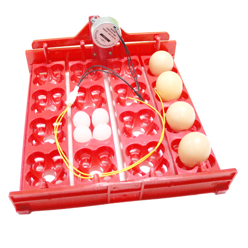 Incubadora automática de huevos de gallina, 16 huevos/64 pájaros, palomas y otras aves, equipo de incubación con Motor