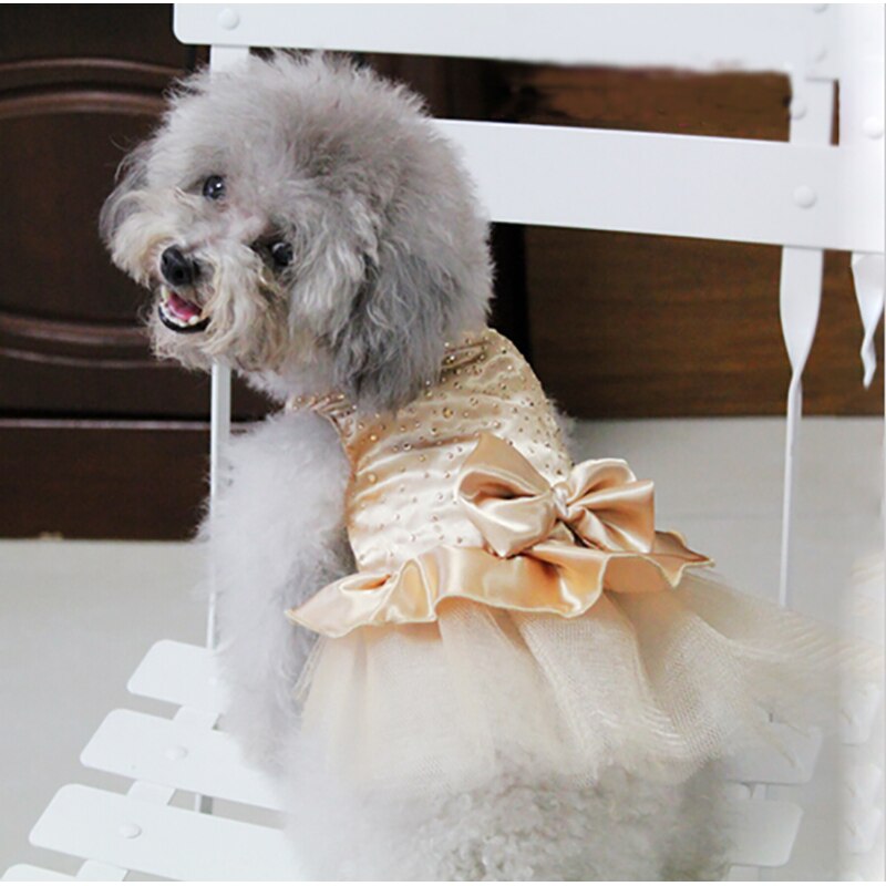 Roupas de verão para animais de estimação, vestido para cães, saia de verão, princesa, vestidos de casamento para cães, roupas de pelúcia para cães, saias, vestido de gato de estimação