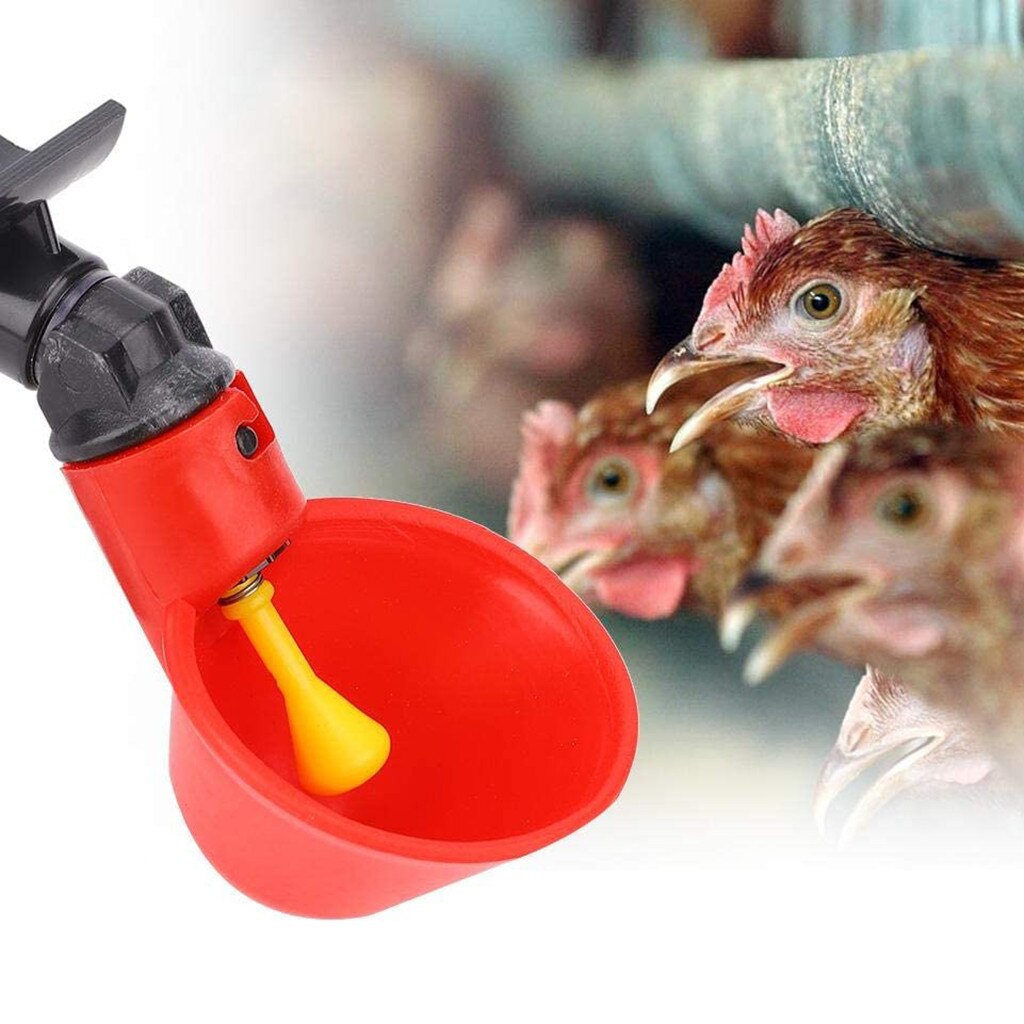 5pcs Chicken Drinker Cups For Chickens Red Quail Chicken Waterer Bowl Automatic Poultry Coop Feeder Water Drinking Cups