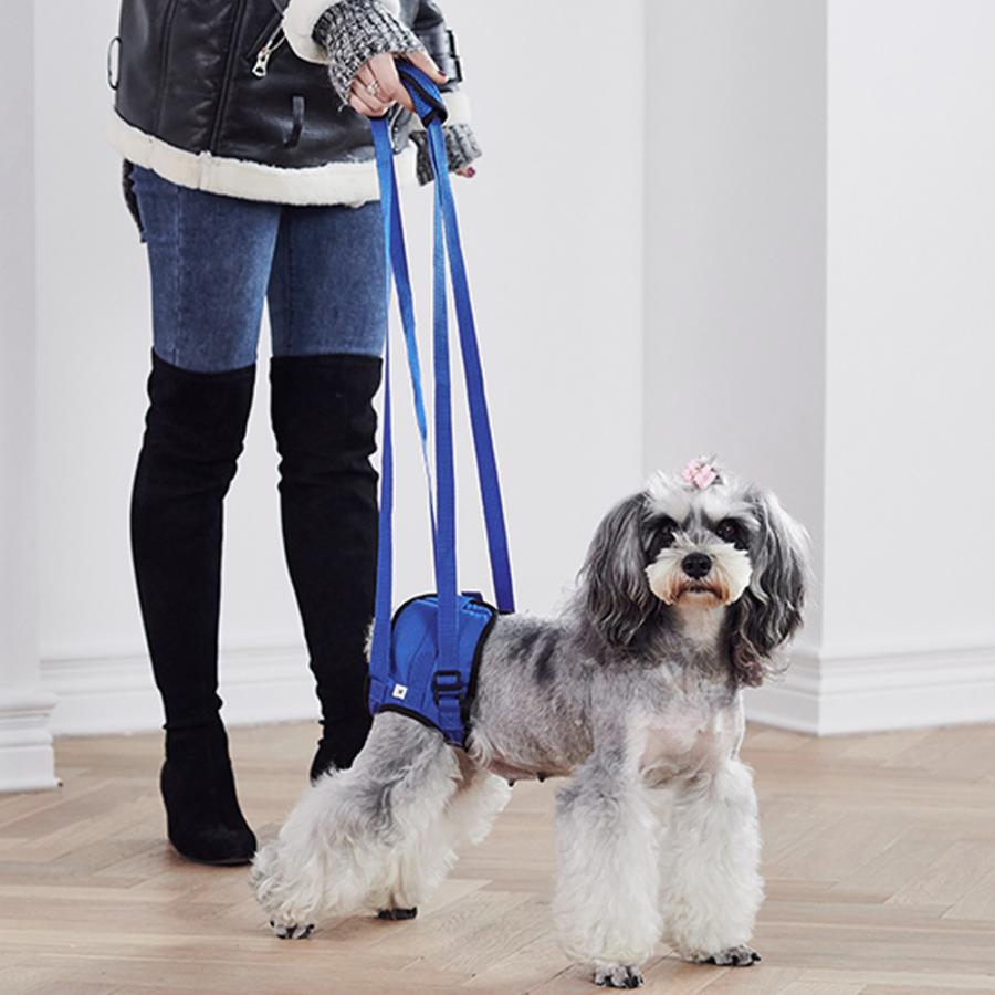 L hundehjælp sele bælte elastisk måtte bagben rehabilitering trænings bælte hund gå løfte bære løft støtte sele