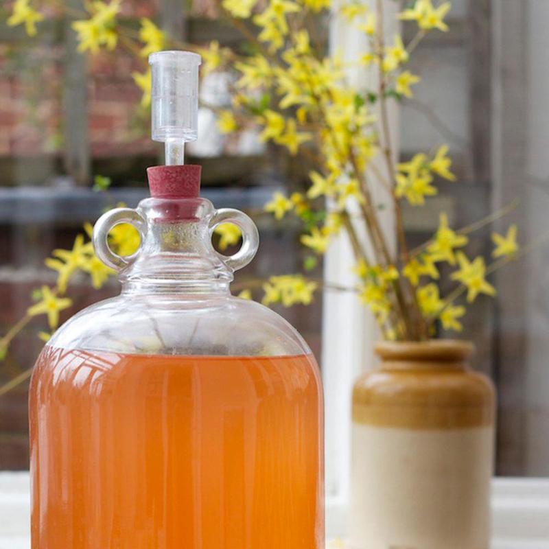 1 Pcs Homebrew Beer Cylinder Fermentor Air Lock One Way Exhaust Water Sealed Check Valve For Beer Fermentation Wine Making