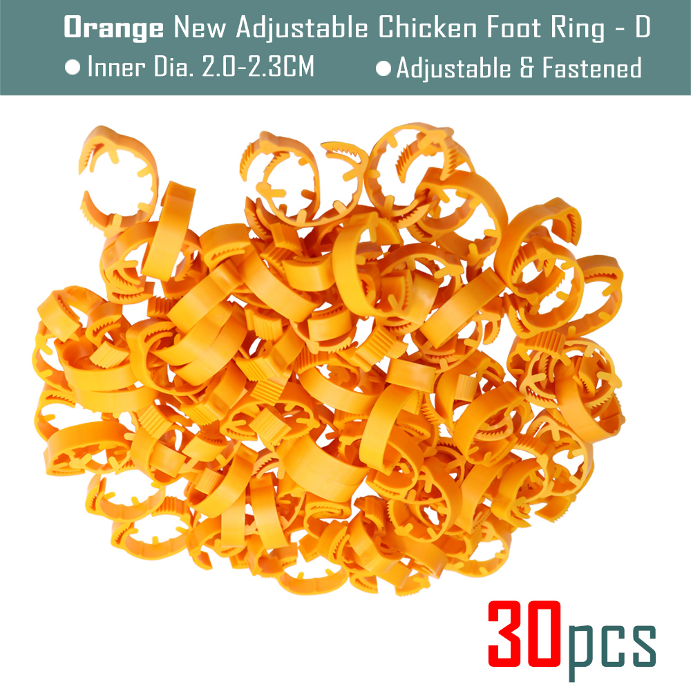 30Pcs Blank Kip Voet Ring 7 Kleuren Verstelbare Digitale Etiketten Voor Pluimvee Been Farm Identificatie Markers Tool Voor Chick eend: D-Orangex30pcs