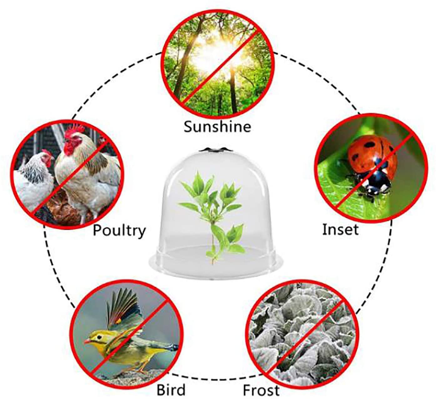 Plant Bell Cover Dome Anti-Freeze Plant Covers Transparent Seedling Insulation Cover Whit Plant Marker Nursery Maintenance Tools