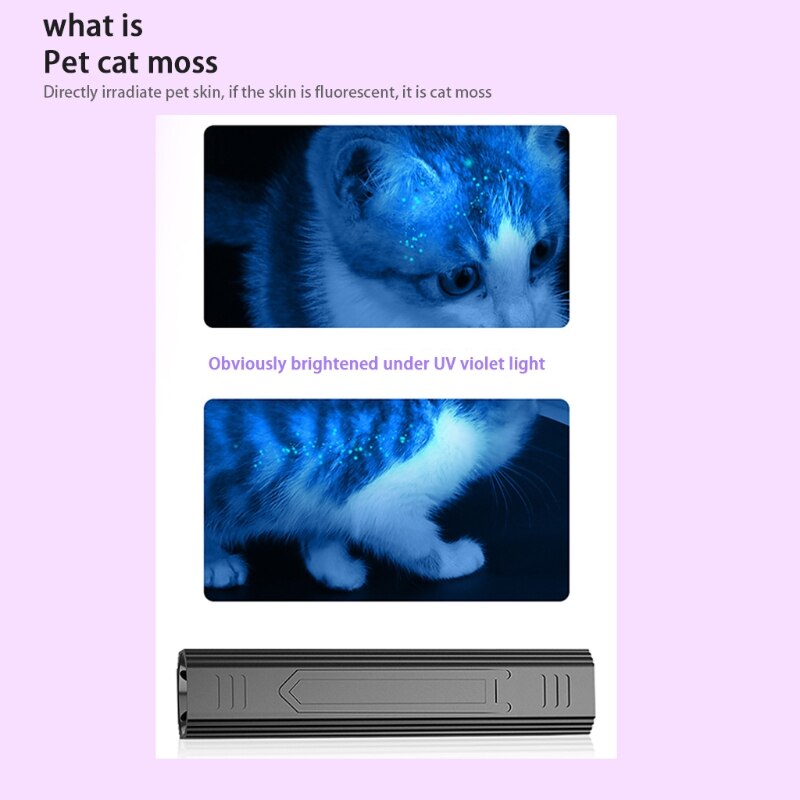 Detector, Hond Zwart Licht Zaklamp Kat Ringworm Detector Detectie Van Fluorescerende Agent Professionele Detectie Licht Waterdicht