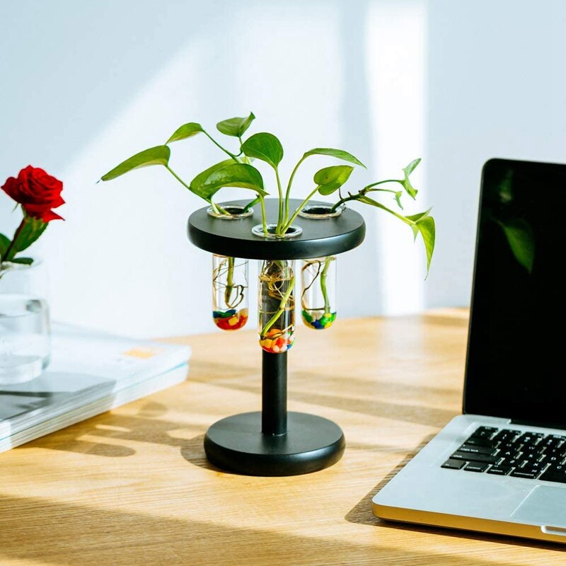 Szkło 3 probówka kwiat wazon na pączki kwiatów, drewniany stojak, ambona, biuro w domu