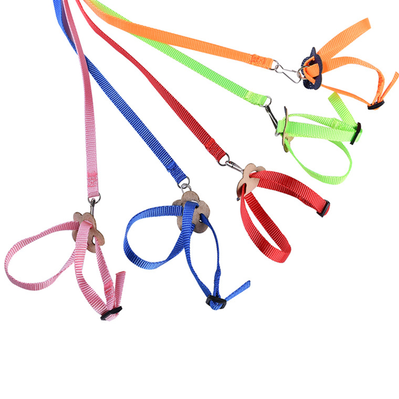 Verstelbare Parrot Leash Bird Harness Training Touw Outdoor Vliegende Touw Voor Valkparkiet Kleine Vogels Dierbenodigdheden Multi Kleur