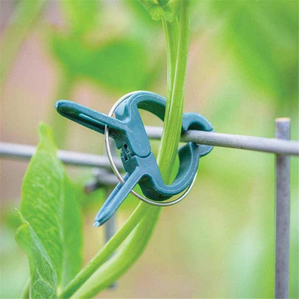 Greenhouse Bracket Pole Fixed Clamp Plant Support Clips Grafting Stakes Connector Garden Flower Vine Clips for Supporting Stems