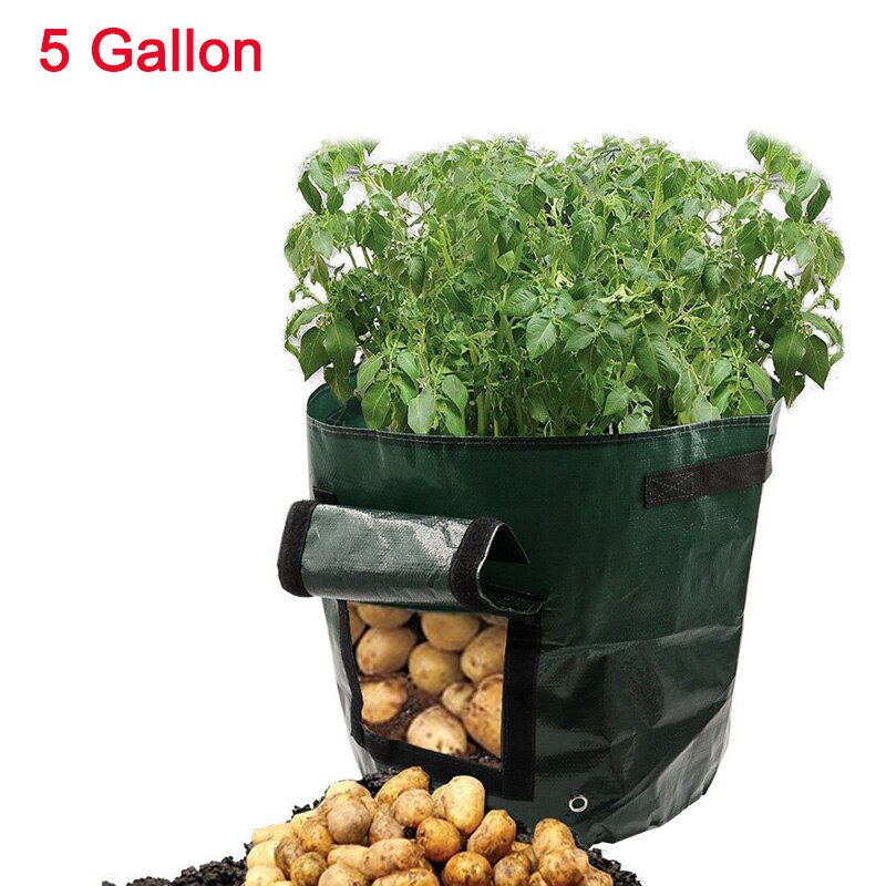 Vegetable Plant Grow Bag Garden Supplies PE Cloth 1Pcs DIY Potato Grow Planter Thicken Garden Pot Planting Container Bag: 5 gallon