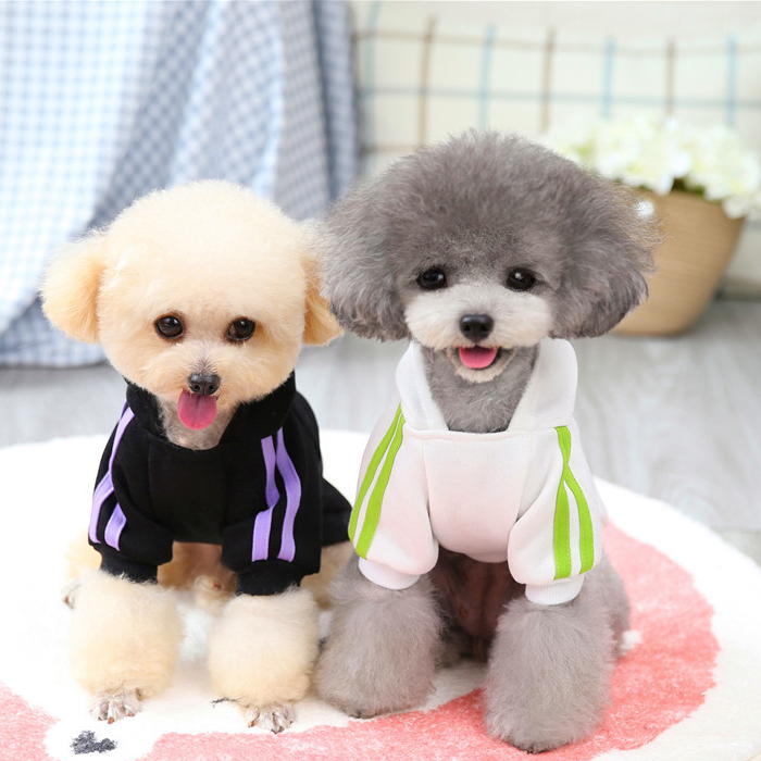 Huvtröja hundkläder kläder vår höst pomeranian teddy bichon pomeranian liten hund kläder katt sportkläder