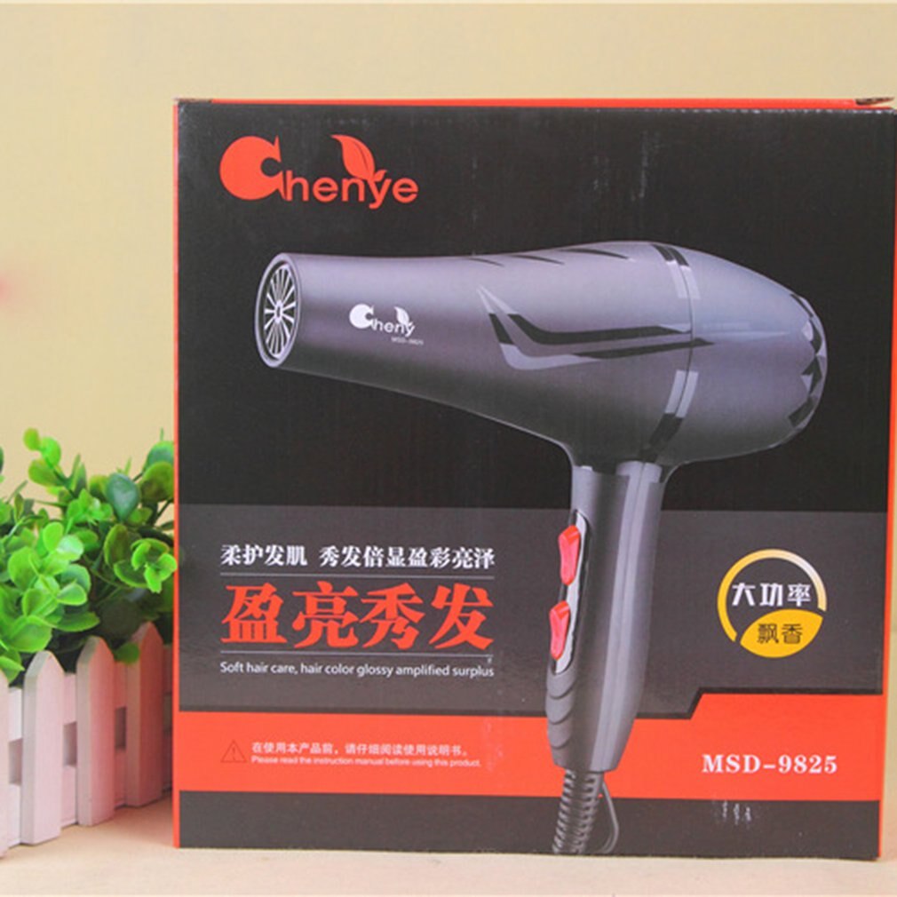 Föhn High-Power Professionele Haar Föhn Black Heat Snelheid Blower Droog Watt Haarverzorging