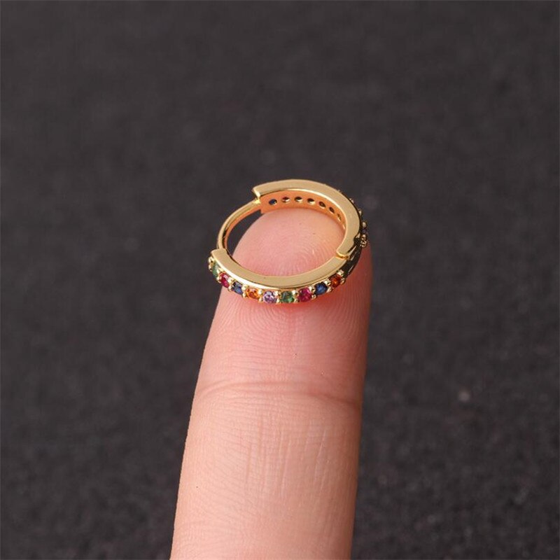 1Pc Rvs Septa Klik Ring Neus Labret Tragus Kraakbeen Daith Spiraalvormige Oor Stud Body Piercing Sieraden: Mix2 / 6mm