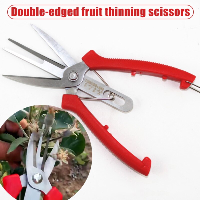 Ciseaux à fruits à Double tranchant en acier inoxydable, outils à main portables pour le jardinage: Default Title