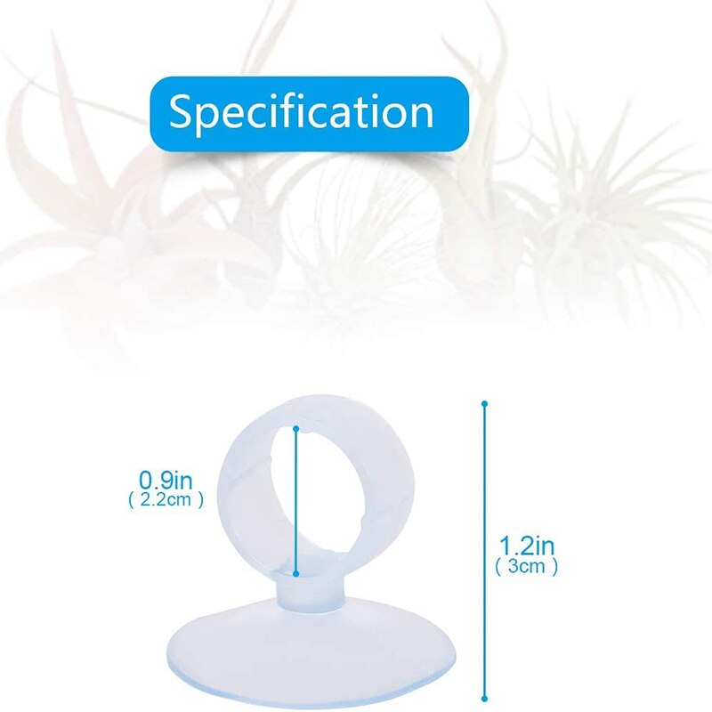 20 Stck Luft Pflanze Halfter, blumentopf Tillandsia Halfter Luft Pflanze Aufhänger mit Saugnapf für Hängen (Pflanzen Nicht Enthalten)