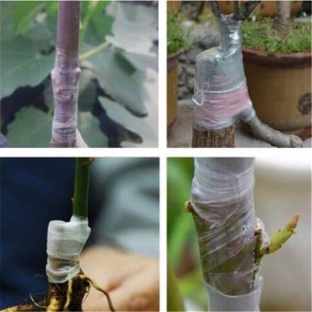 10m trädgård träd plantskola frö blommor beskärare växt reparation rull tejp ymp barriär parafilm beskärning spirande frukt strecth