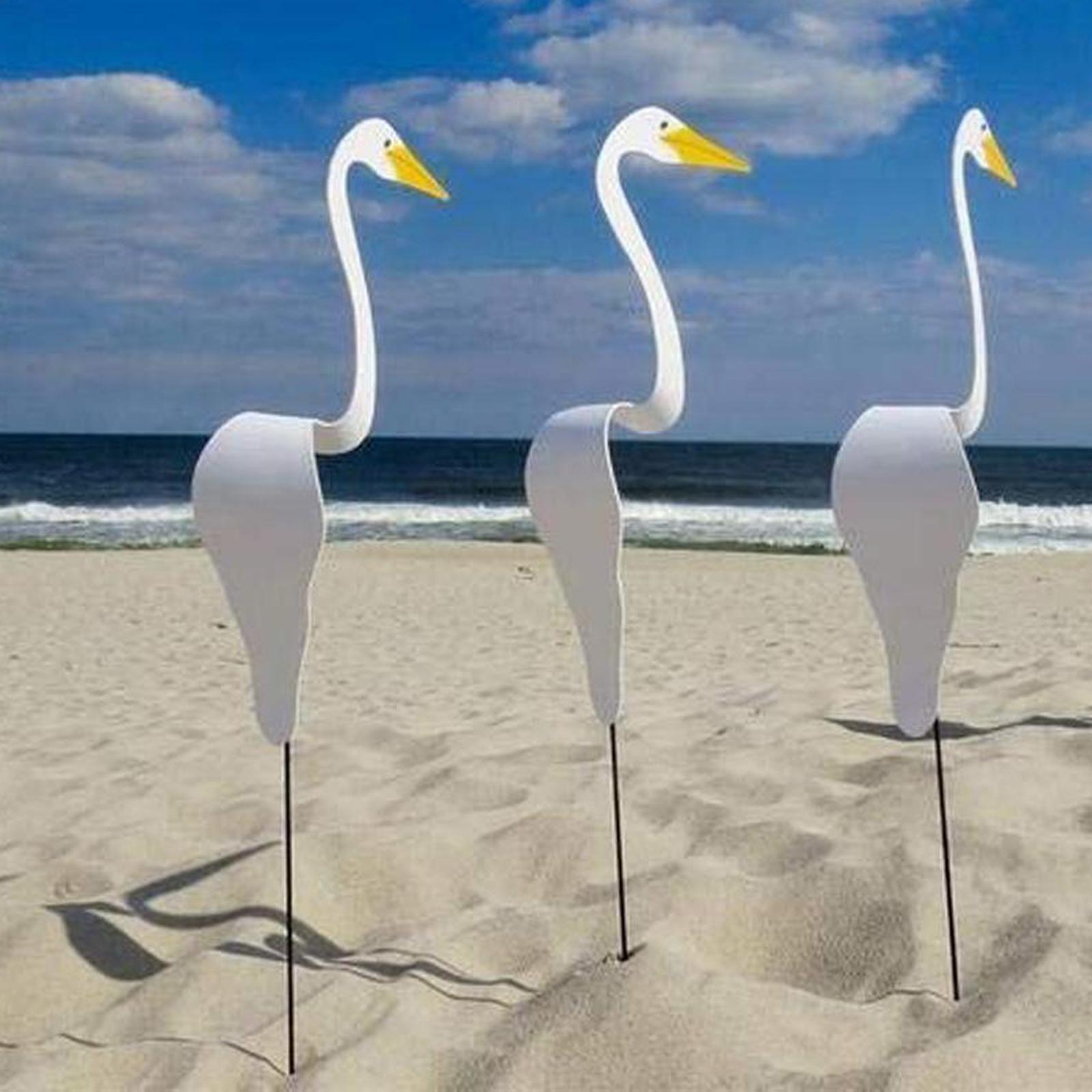 Pyörre lintu hassu ja dynaaminen lintu flamingo tuuli soi ulkona pihalla hääjuhla ystävänpäivä ranta kesä