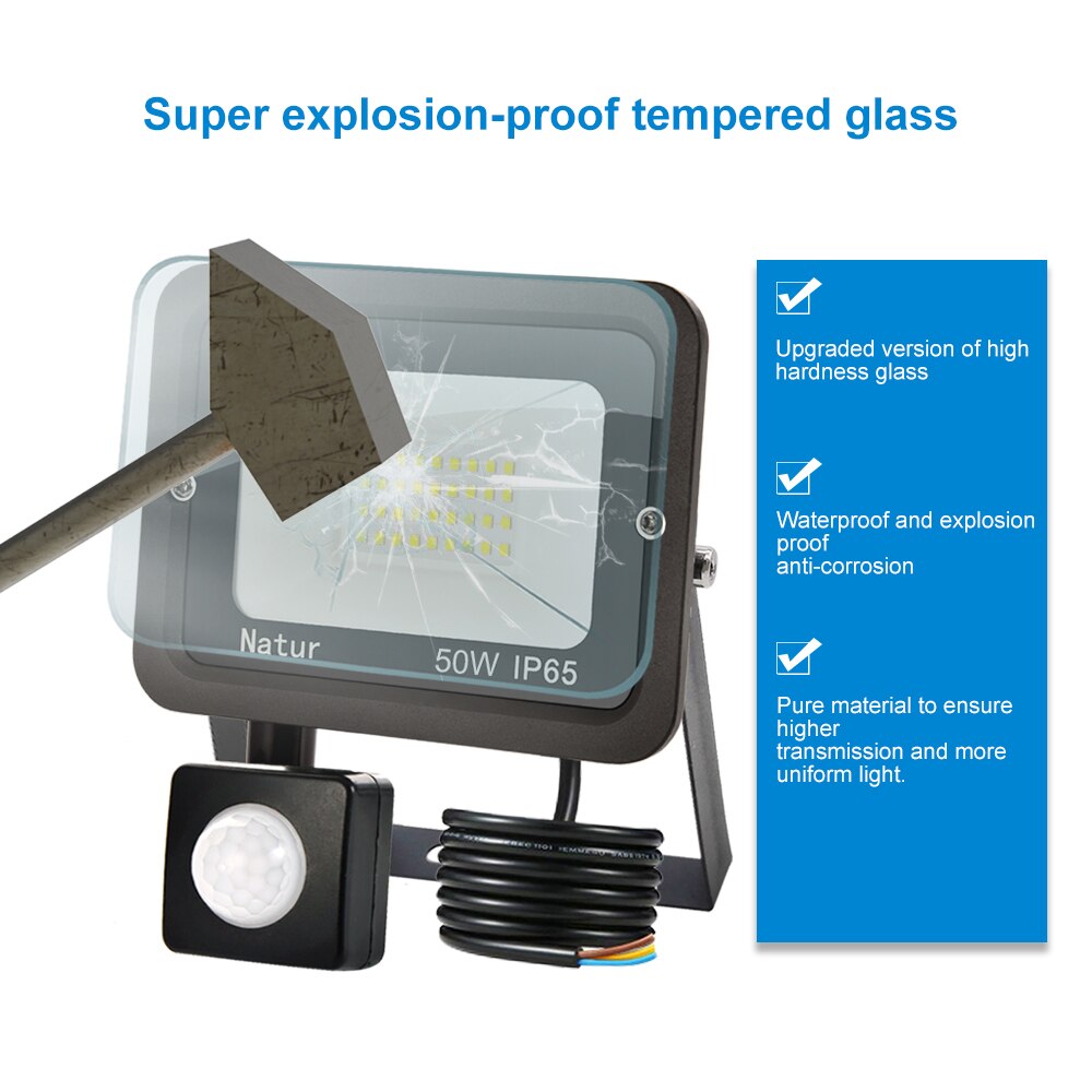 PIR Motion Sensor LED Flood Light 10W20W 30W 50W 100W Outdoor Floodlight 220V Waterproof IP65 Spotlight Garden Wall Street Light