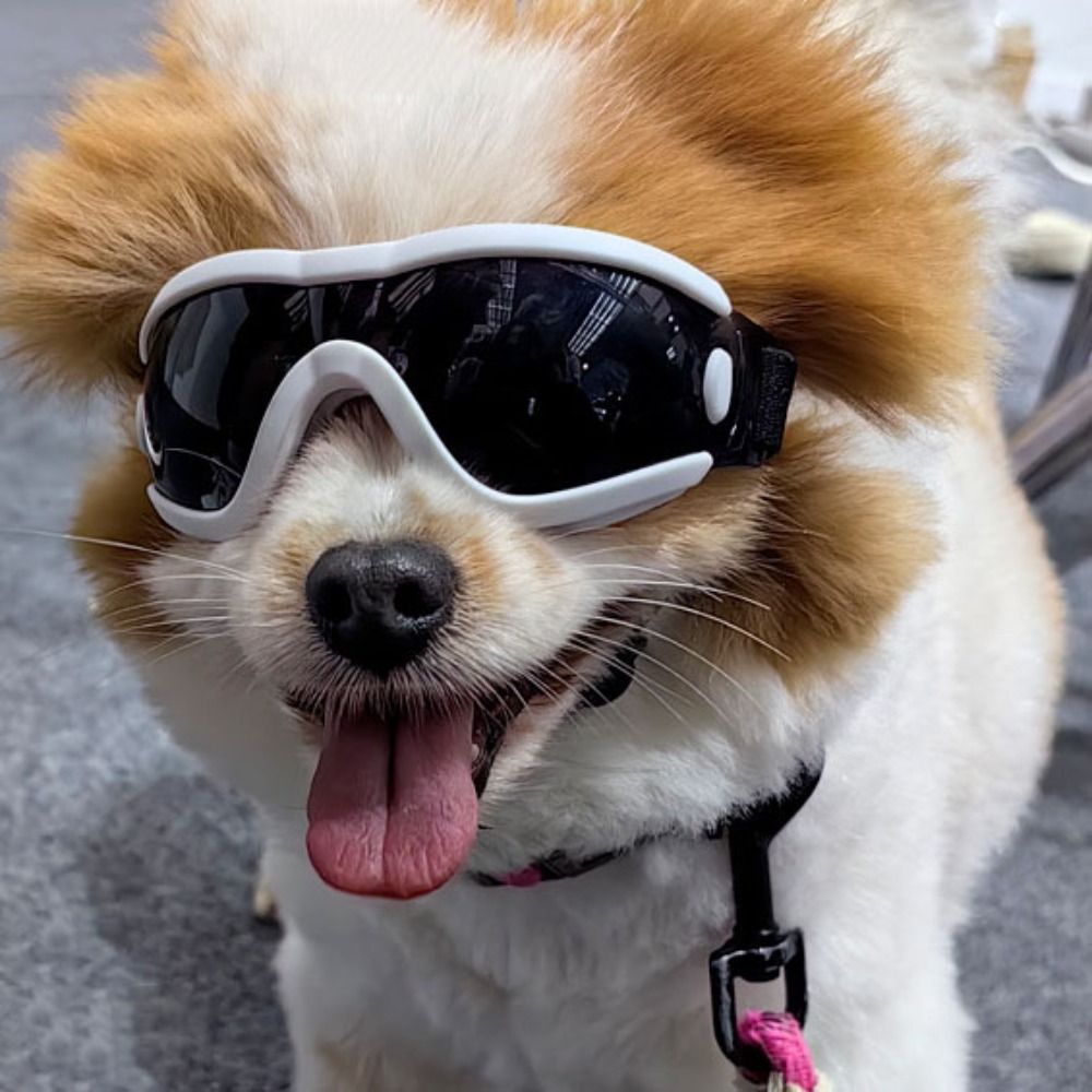 Lunettes de soleil pour chien, sangle réglable, résistantes aux UV, imperméables, coupe-vent, Anti-buée, pour animaux de compagnie, voyage
