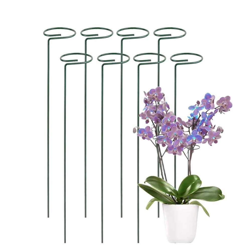 38Pcs Plant Support Stakes, Garden Single Stem Support Stake Plant Cage Support Rings For Amaryllis Tomatoes Orchid Lily Peony