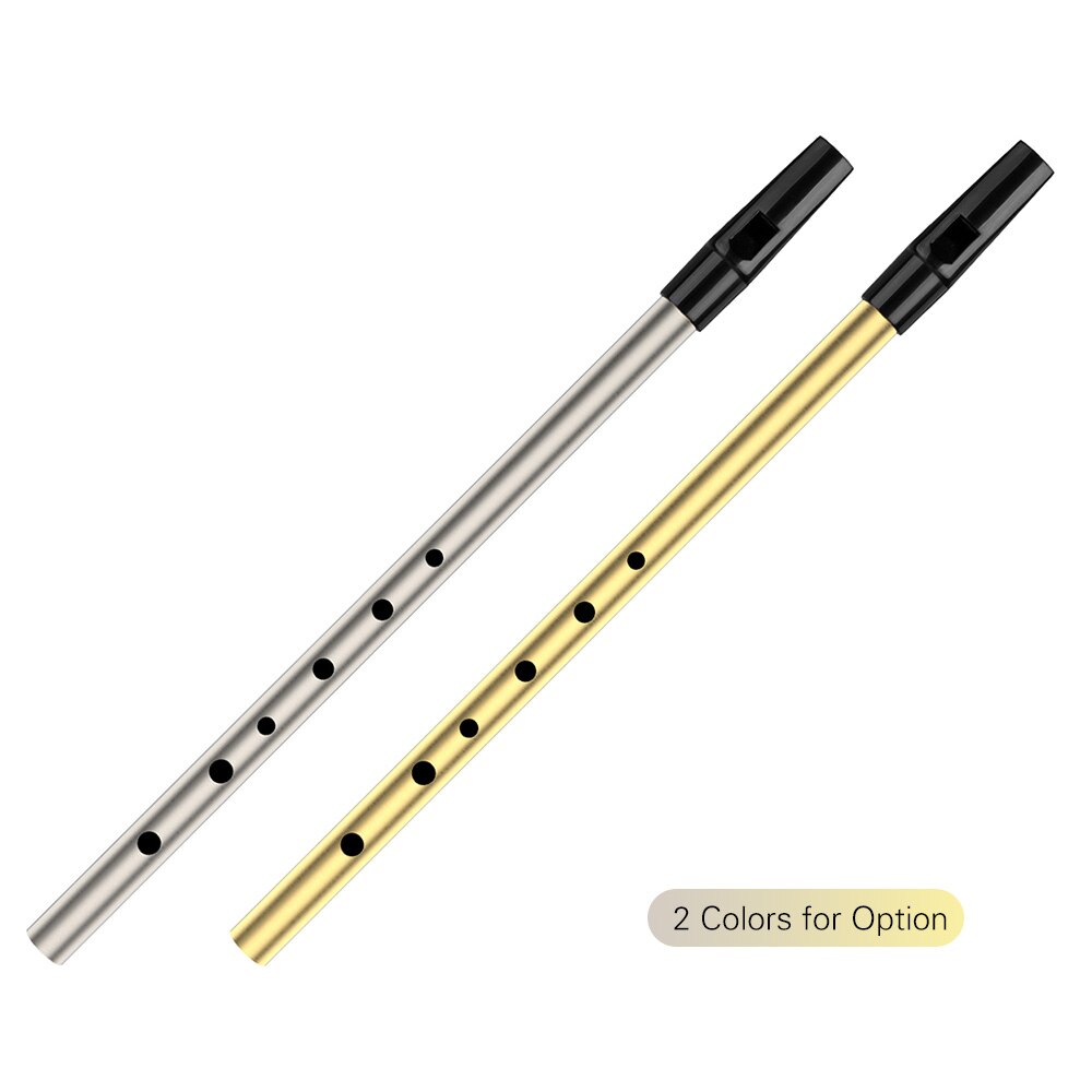 NAOMI 6 Holes Tin Whistle Traditional Irish Penny Whistle Brass Material Musical Instrument for Beginners, Key of D