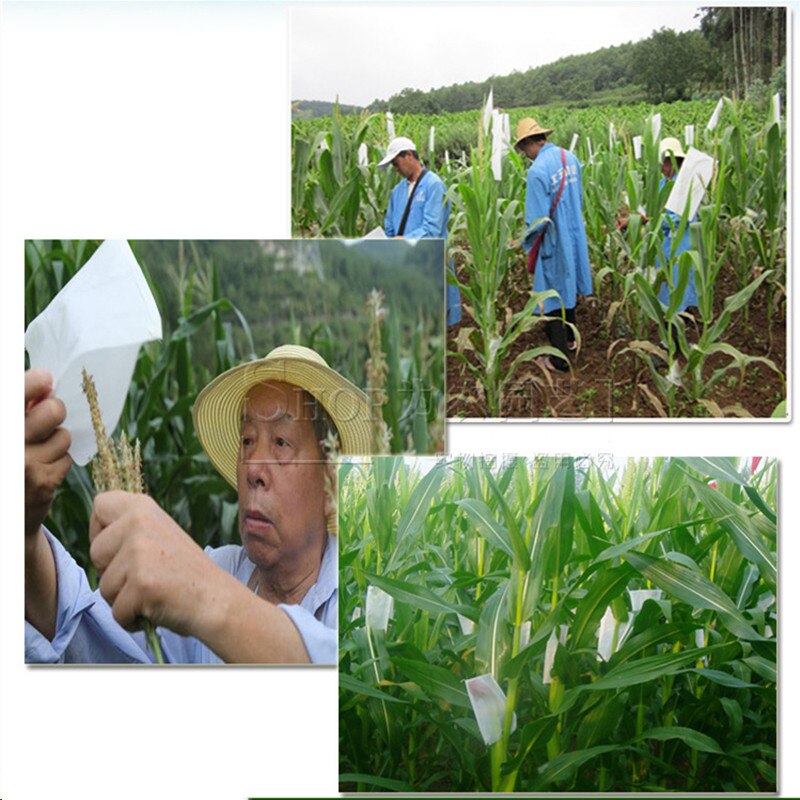 50pcs/lot Garden Pollination Parchment Bags Agriculture Corn Wheat Isolation Protective Bag Available Hybrid Breeding Cover Bag