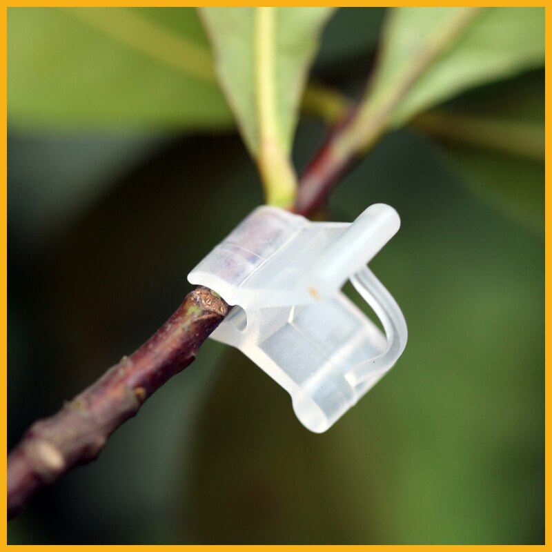 100 st trädgårdsplantor ympade klämma blommor odlingsverktyg abs plast ympade trädgårdsredskap trädgårdsredskap planteringsverktyg