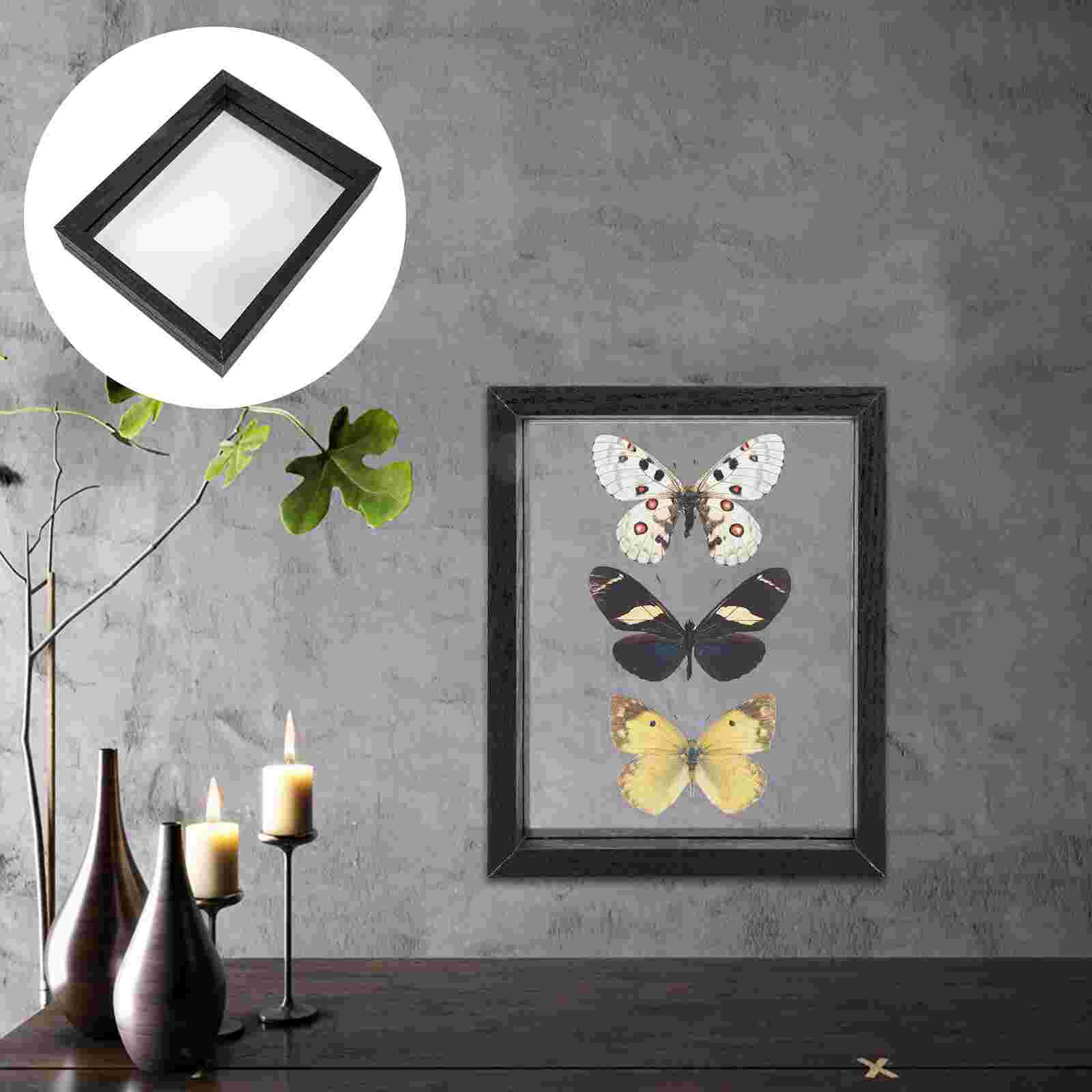 Insect Specimen Display Case DIY Butterflies Ornament Dust-Proof Plant Box: Black